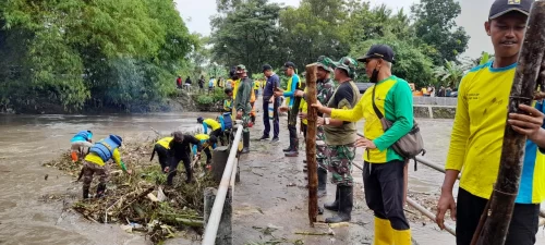 Relawan Klaten dan BBWS Bengawan Solo Bersihkan Bambu Tersangkut di Jembatan Sungai Dengkeng