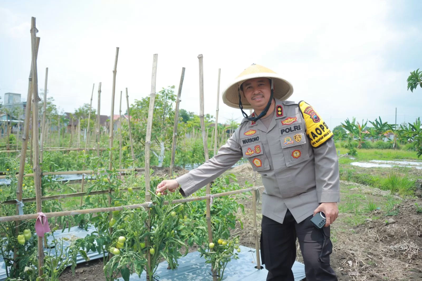 Kapolres Klaten Tinjau Lahan Ketahanan Pangan di Desa Ponggok